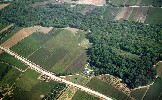 Veduta aerea del Bosco
